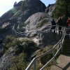 Kings canyon et Sequoia 10